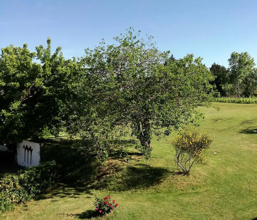 Agriturismo Morattina Castrocaro Terme 0*,